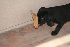 First outing - 7